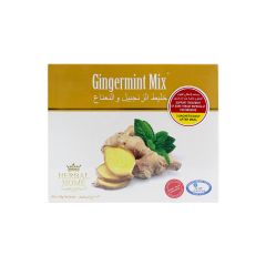 Herbal Home Gingermint Mix Liquid Sachet 30 S