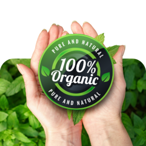 Category Organic Food image